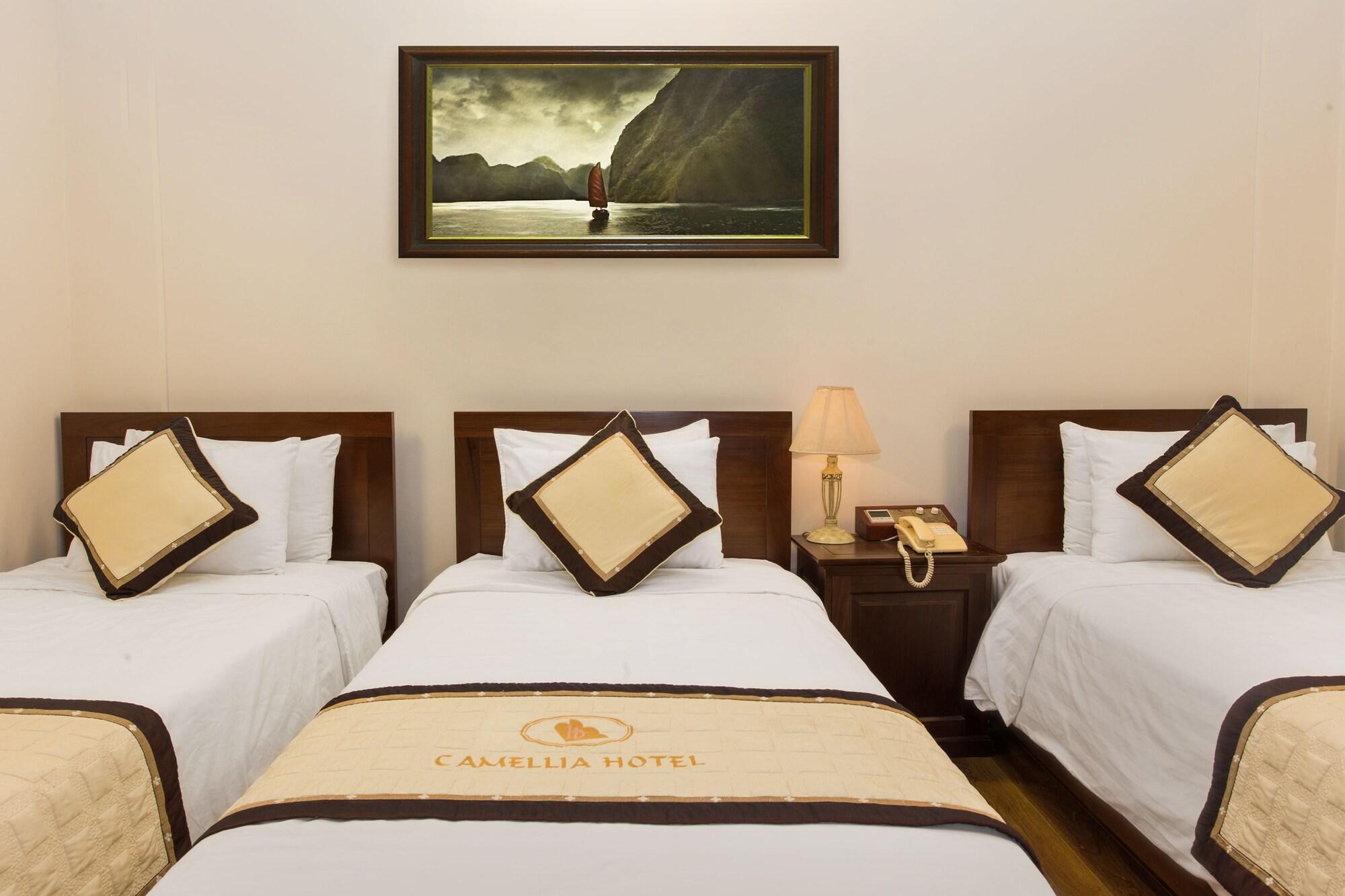 Camellia Boutique Hotel & Spa Hanoj Exteriér fotografie